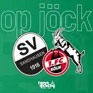 fans1991@sandhausen WhatsApp Channel