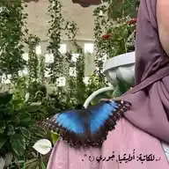 فَتاة رقيقة كَالفراشة 🎀. WhatsApp Channel