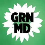 GRÜNE Magdeburg WhatsApp Channel