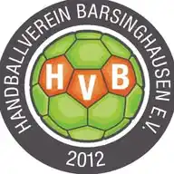 Handballverein Barsinghausen e.V. WhatsApp Channel