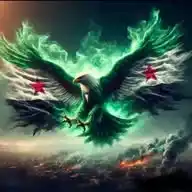 News of Syria - أخبار سورية WhatsApp Channel