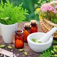 ( نيرمين ) اراء البنوتات بخلطاتي الطبيعية WhatsApp Channel