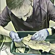 Pasión por la Anatomía WhatsApp Channel
