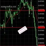 Ranox Forex Institute WhatsApp Channel