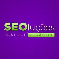 SEOluções - Agência de Marketing Digital com Foco em SEO WhatsApp Channel