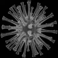 Virology WhatsApp Channel