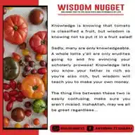 √WISDOM_NUGGETS WhatsApp Channel
