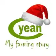 YEAN WhatsApp Channel