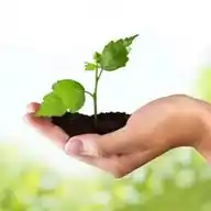 A2Z Farming WhatsApp Channel