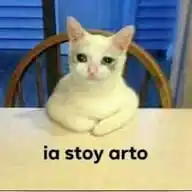 agostinistas😛🤪 WhatsApp Channel