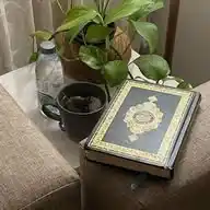 القران الكريم وعلومه 🌺🌺 WhatsApp Channel