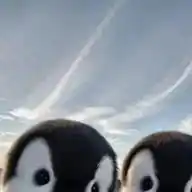 Angelcosas WhatsApp Channel