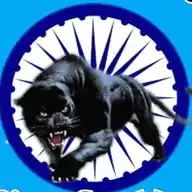 Black Panthers Of India WhatsApp Channel