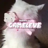 🎀 C֗͜𝖺𝗺𝖾̫𝗹𝛜͡𝛎𝛜̱̌ ⋆𐙚 WhatsApp Channel