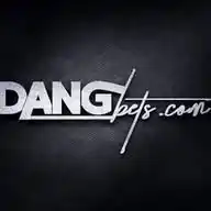 Dangbets WhatsApp Channel