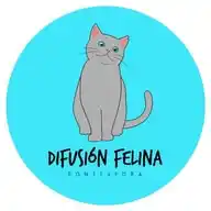 Difusión Felina Pontevedra WhatsApp Channel