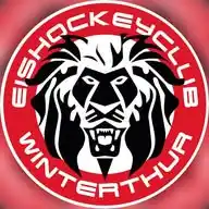 EHC Winterthur WhatsApp Channel