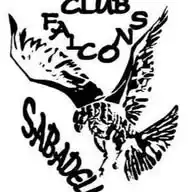 🏓Falcons Sabadell AE - Tennis Taula 🏓 WhatsApp Channel