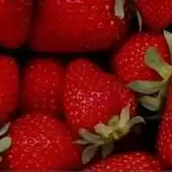 Fresas y merengue WhatsApp Channel