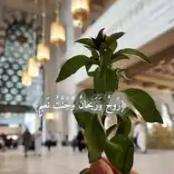 جَنَّةُ نَعيم 🌿🤍 WhatsApp Channel
