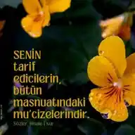 Güzel Sözler - Risale-i Nur'dan Vecizeler WhatsApp Channel