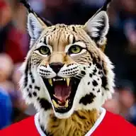Handball-Luchse NEWS WhatsApp Channel