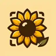 kifobu 🌻 WhatsApp Channel