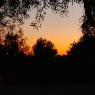 قناة السلام  WhatsApp Channel