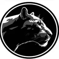 La Pantera Nera Eventi WhatsApp Channel