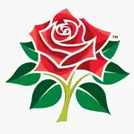 Lancashire Cricket WhatsApp Channel