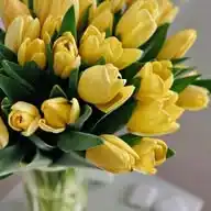 لنا في الله ظن لايخيب 💟 WhatsApp Channel