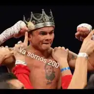 Los Reyes Del KNOCKOUT WhatsApp Channel