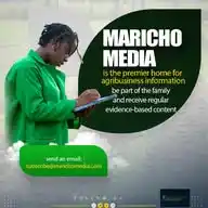 Maricho Media WhatsApp Channel