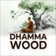 Meditate With A Monk WhatsApp Channel
