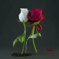 💞 النصائح الزوجية 💞  Al-Nasa'ih al-Zawjiya WhatsApp Channel
