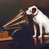 Music Italy 🇮🇹 The Master Selection WhatsApp Channel
