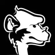 Pearl Jam Online WhatsApp Channel