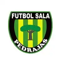 Pedrajas Futsal Cup WhatsApp Channel