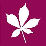 Redbridge Council WhatsApp Channel