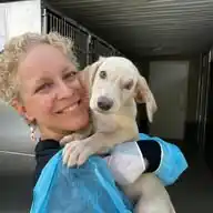 Sara Turetta Save The Dogs WhatsApp Channel