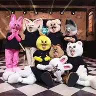 Stray Kids Bubble Çeviri  WhatsApp Channel