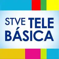 STVE Telebásica WhatsApp Channel