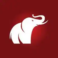 The Elephant WhatsApp Channel