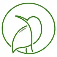 Tody | تودي WhatsApp Channel
