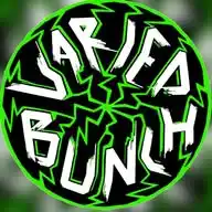 Varied Bunch Band WhatsApp Channel
