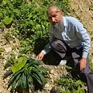 Abdulkadir KAŞGARI ücretsiz mizac eğitimi WhatsApp Channel