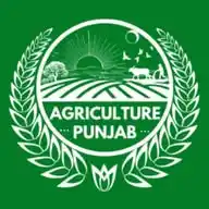 Agriculture Punjab WhatsApp Channel