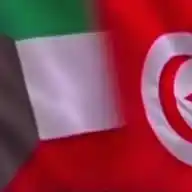 المستثمرون العرب بتونس WhatsApp Channel