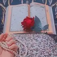 Bazm-e-𝐈lm •𓍯🌺🤍 WhatsApp Channel