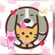🐾🌻  𝐂𝐀𝐍𝐈𝐍𝐒 𝐄𝐓 𝐅𝐄𝐋𝐈𝐍𝐒 𝐃𝐄 𝐃𝐄𝐌𝐀𝐈𝐍 🏳️‍🌈🐾 WhatsApp Channel